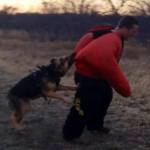 Guard dog training Abilene, tx