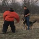 Guard dog training Abilene, tx